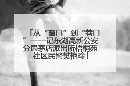 从“窗口”到“巷口”——记东湖高新公安分局茅店派出所梧桐苑社区民警樊艳玲