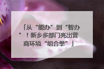 从“能办”到“智办”！新乡多部门亮出营商环境“组合拳”
