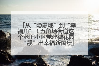 从“隐患地”到“幸福角”！五角场街道这个老旧小区党建微花园“靓”出幸福新图景