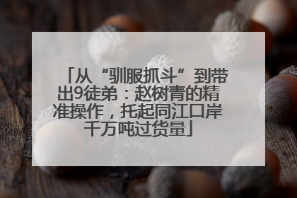 从“驯服抓斗”到带出9徒弟：赵树青的精准操作，托起同江口岸千万吨过货量