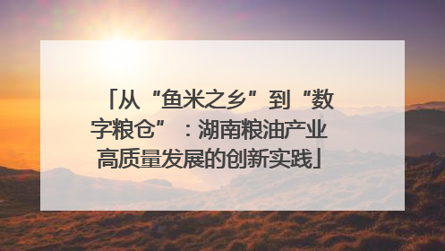 从“鱼米之乡”到“数字粮仓”：湖南粮油产业高质量发展的创新实践