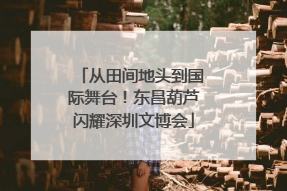 从田间地头到国际舞台！东昌葫芦闪耀深圳文博会