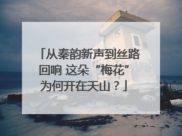 从秦韵新声到丝路回响 这朵“梅花”为何开在天山？