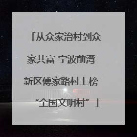从众家治村到众家共富 宁波前湾新区傅家路村上榜“全国文明村”
