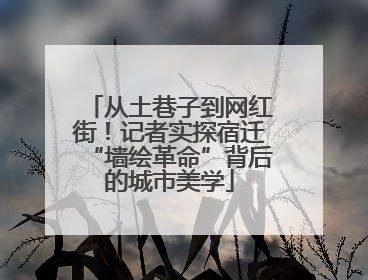 从土巷子到网红街！记者实探宿迁“墙绘革命”背后的城市美学