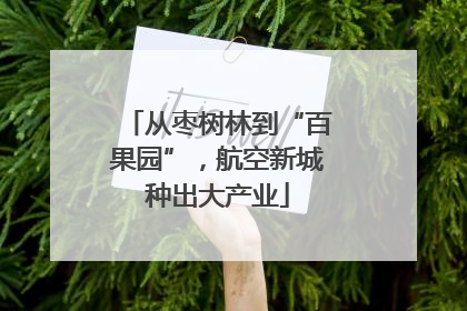 从枣树林到“百果园”，航空新城种出大产业