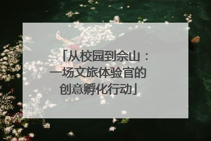 从校园到佘山：一场文旅体验官的创意孵化行动