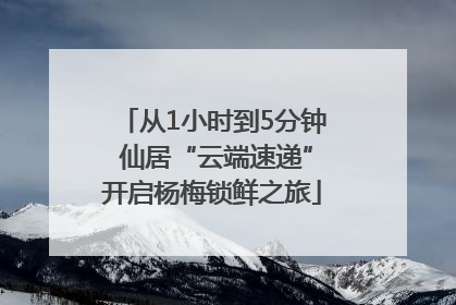 从1小时到5分钟 仙居“云端速递”开启杨梅锁鲜之旅