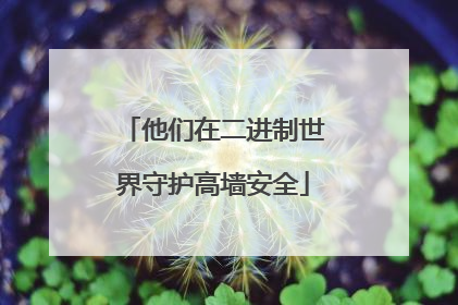 他们在二进制世界守护高墙安全
