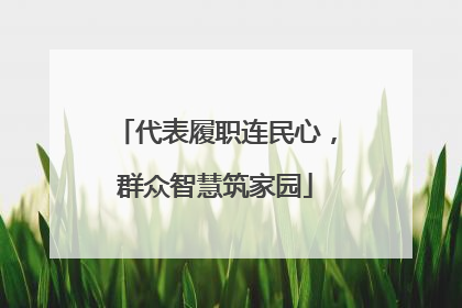 代表履职连民心，群众智慧筑家园