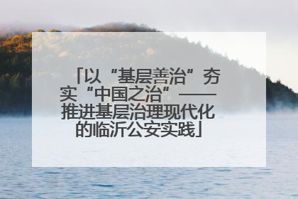 以“基层善治”夯实“中国之治”——推进基层治理现代化的临沂公安实践