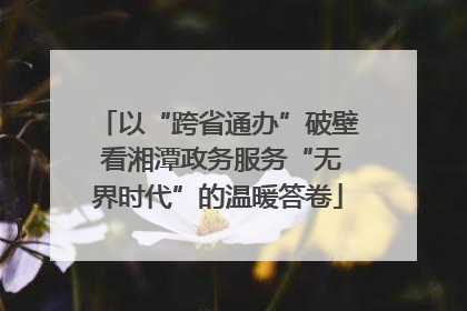 以“跨省通办”破壁 看湘潭政务服务“无界时代”的温暖答卷