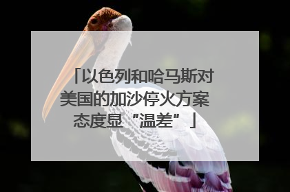 以色列和哈马斯对美国的加沙停火方案态度显“温差”