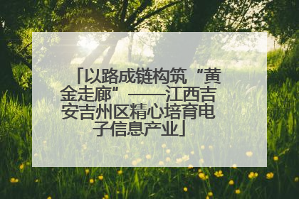 以路成链构筑“黄金走廊”——江西吉安吉州区精心培育电子信息产业