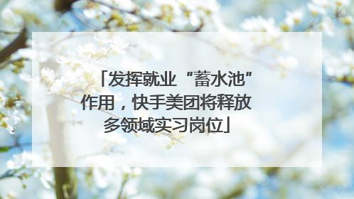 发挥就业“蓄水池”作用，快手美团将释放多领域实习岗位