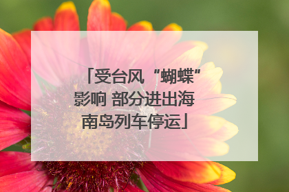 受台风“蝴蝶”影响 部分进出海南岛列车停运