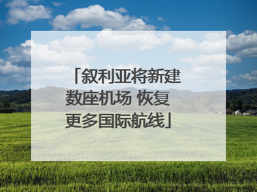 叙利亚将新建数座机场 恢复更多国际航线