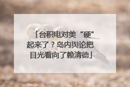 台积电对美“硬”起来了？岛内舆论把目光看向了赖清德