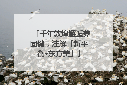千年敦煌邂逅养固健，注解「新平衡•东方美」