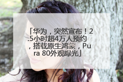 华为，突然宣布！2.5小时超4万人预约，搭载原生鸿蒙，Pura 80外观曝光