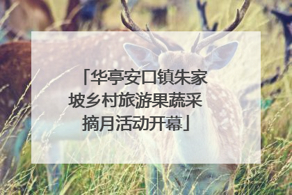 华亭安口镇朱家坡乡村旅游果蔬采摘月活动开幕