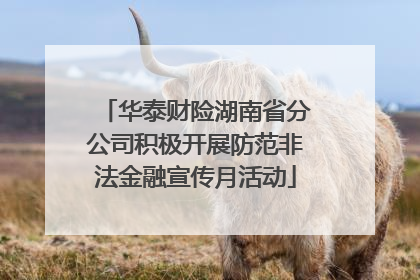 华泰财险湖南省分公司积极开展防范非法金融宣传月活动