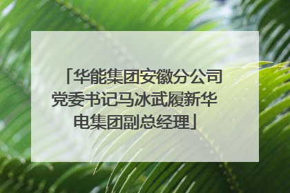 华能集团安徽分公司党委书记马冰武履新华电集团副总经理