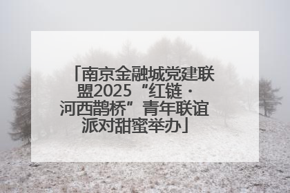 南京金融城党建联盟2025“红链・河西鹊桥”青年联谊派对甜蜜举办