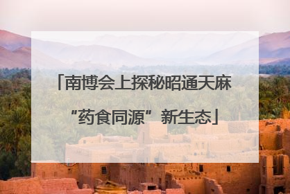 南博会上探秘昭通天麻“药食同源”新生态