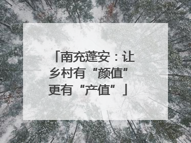 南充蓬安：让乡村有“颜值”更有“产值”