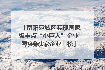 南阳宛城区实现国家级重点“小巨人”企业零突破1家企业上榜
