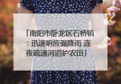 南阳市卧龙区石桥镇：迅速响应强降雨 连夜疏通河道护农田
