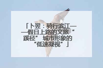 卜翌：骑行滨江——假日上路的文旅“蹊径” 城市形象的“低速凝视”