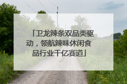 卫龙辣条双品类驱动，领航辣味休闲食品行业千亿赛道
