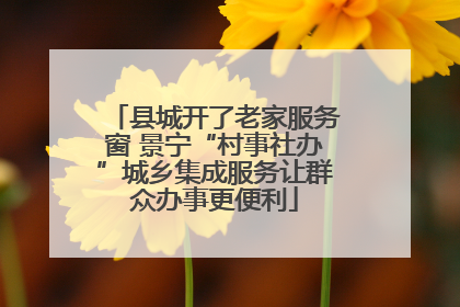 县城开了老家服务窗 景宁“村事社办”城乡集成服务让群众办事更便利
