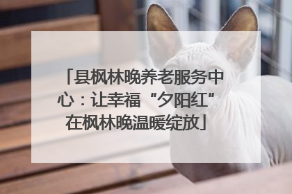 县枫林晚养老服务中心：让幸福“夕阳红”在枫林晚温暖绽放