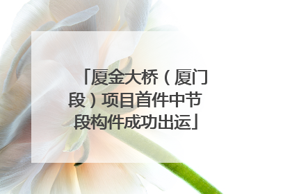 厦金大桥（厦门段）项目首件中节段构件成功出运