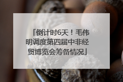 倒计时6天！毛伟明调度第四届中非经贸博览会筹备情况