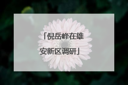 倪岳峰在雄安新区调研