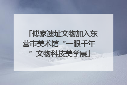 傅家遗址文物加入东营市美术馆“一眼千年”文物科技美学展