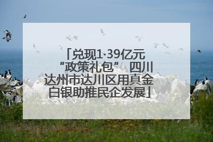 兑现1·39亿元“政策礼包” 四川达州市达川区用真金白银助推民企发展