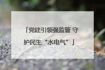 党建引领强监管 守护民生“水电气”