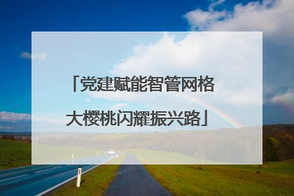党建赋能智管网格 大樱桃闪耀振兴路