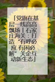党旗在基层一线高高飘扬丨石家庄海关：打造“有呼必应 有困必解”关企互动新生态
