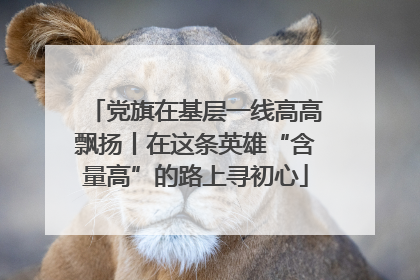 党旗在基层一线高高飘扬丨在这条英雄“含量高”的路上寻初心
