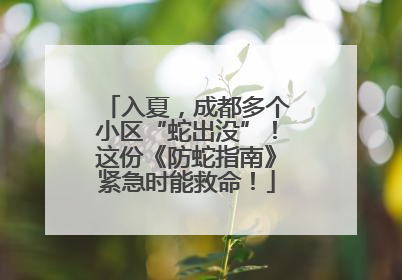 入夏，成都多个小区“蛇出没”！这份《防蛇指南》紧急时能救命！