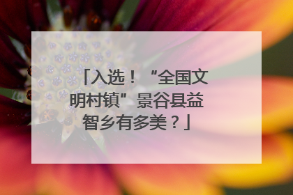 入选！“全国文明村镇”景谷县益智乡有多美？