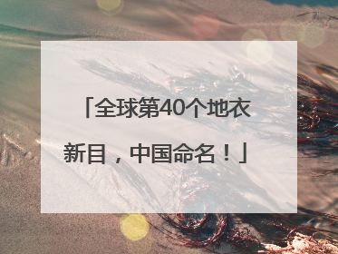 全球第40个地衣新目，中国命名！