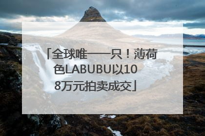 全球唯一一只！薄荷色LABUBU以108万元拍卖成交