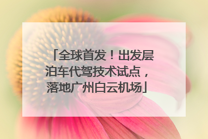 全球首发！出发层泊车代驾技术试点，落地广州白云机场
